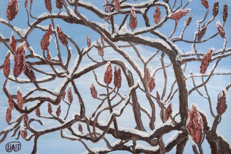 Non-fictitious stories